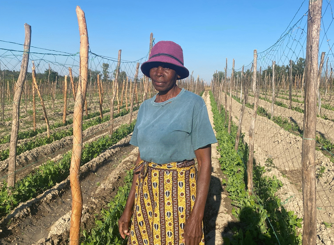 The Hands That Feed the World: Mrs. Nkani’s Story of Hope and Harvest