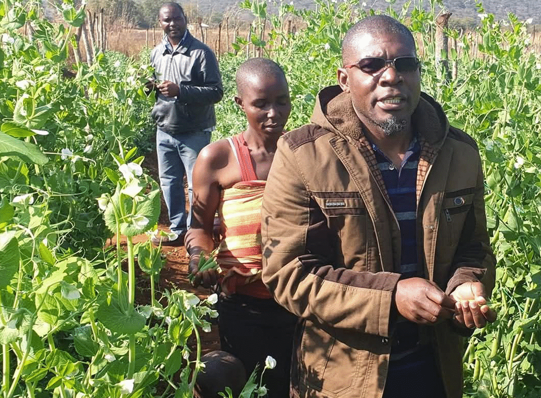 Mrs. Machau’s Story of Empowerment Through Agriculture