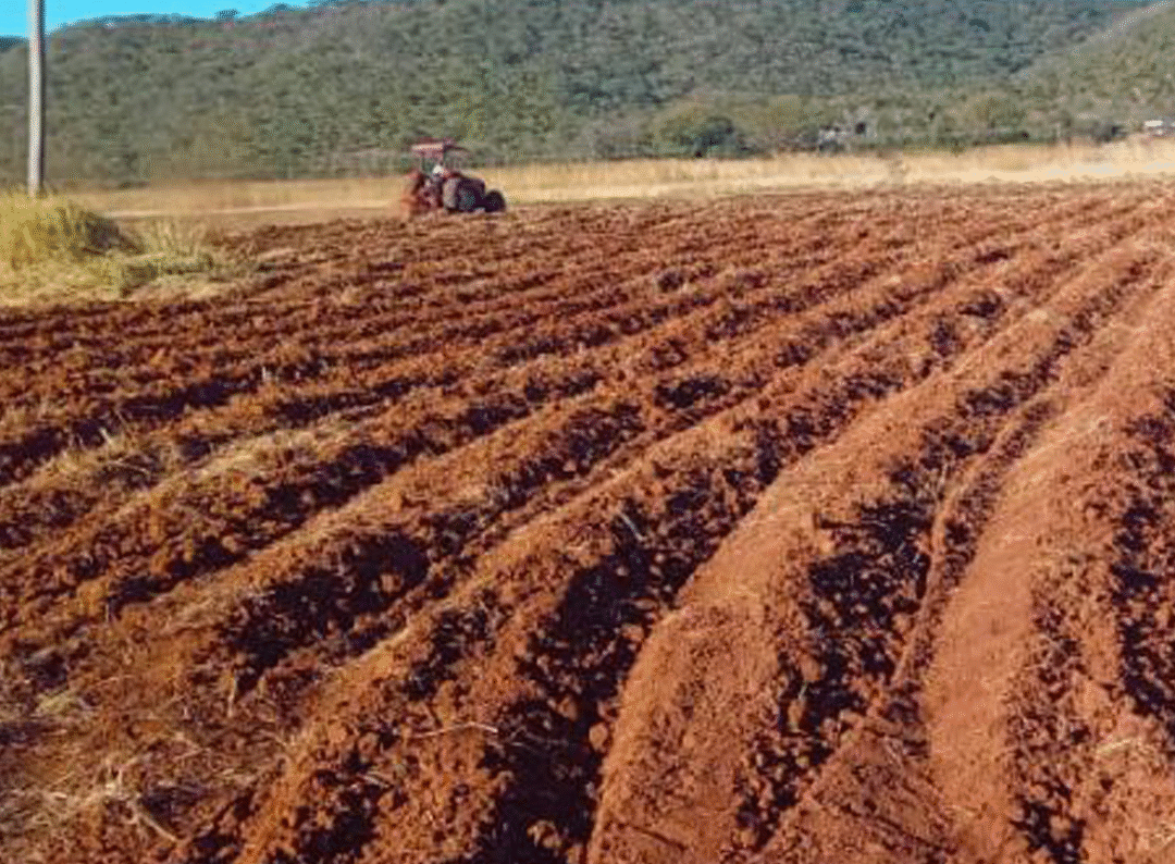 Land Prep Underway at Ruchanyu