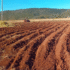 farm
